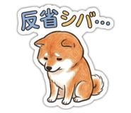 841253496