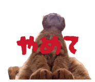 841253765