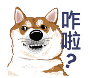 841254073