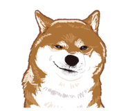 841254092