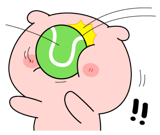 841254455