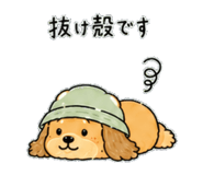 841255025