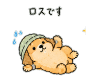 841255026