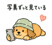 841255040