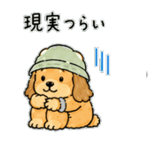 841255041