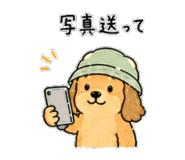 841255045
