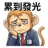 841255054
