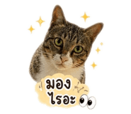 841255122