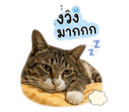 841255123