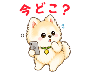 841255258