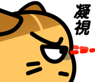 841255302