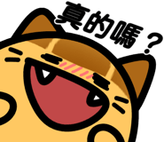 841255305