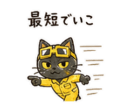 841255795