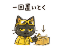841255800