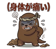 841256206