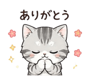 841256221