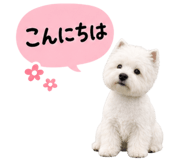 841256314