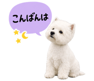 841256315
