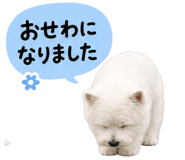 841256317