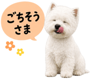 841256325