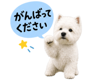 841256329