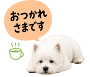 841256330