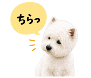 841256342
