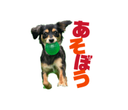841256913