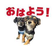 841256917