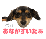 841256918