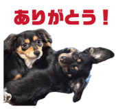 841256920