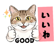 841257084