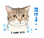 841257090