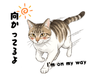841257100