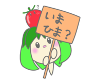 841257117