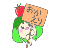 841257120