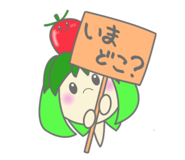 841257122