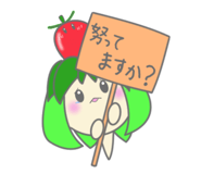 841257125