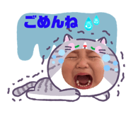 841257161