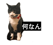 841257196