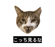 841257198
