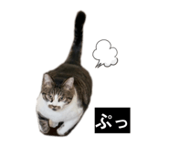 841257199