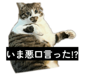 841257200