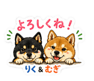 841257209