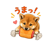 841257212