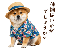841257230