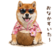 841257234