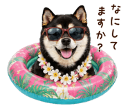 841257236