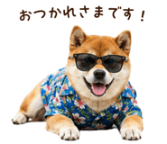 841257243