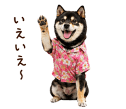 841257246